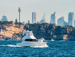 Luxury Whale Watching Experience with Lunch & Open Bar